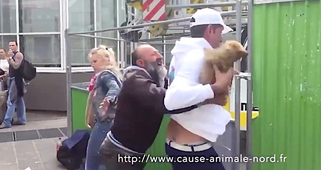 【話題】『ホームレスの飼っている犬を保護する動物の権利活動家、複雑な気持ち…』