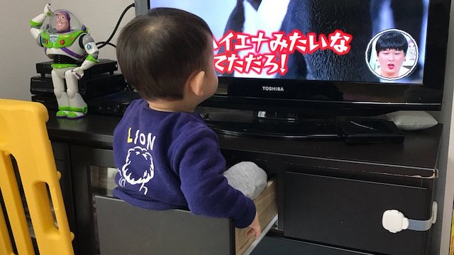 『その発想はなかった』… “スッポリ写真”に反響 → ネット「わりとガチで危ない」「危ないのは分かっているが、賢いw」