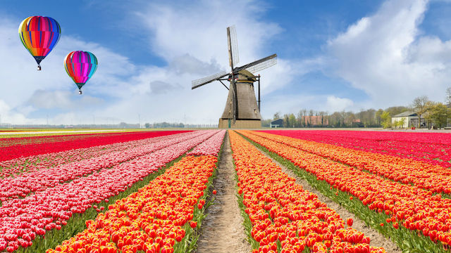 オランダ「オランダは正式な国名ではない」と宣言 → 2020年1月以降「The Netherlands(ネーデルラント)」へ