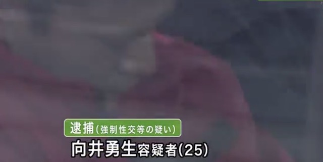 ８歳女児に複数回“強制性交”… 双子の兄弟（25）を逮捕「酒の影響もありはっきりと覚えいない」