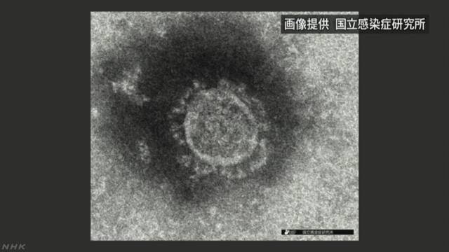 疑い受診断られ医療機関たらい回しも… 関係者「検査基準があいまいで、医療現場も混乱している」