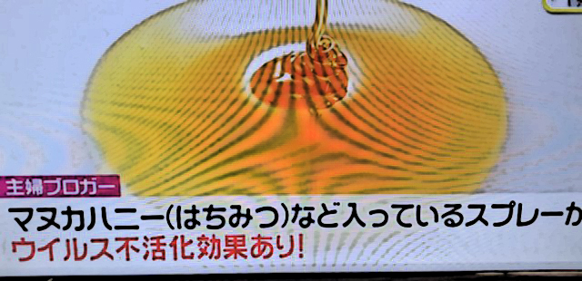 【スッキリ!!】主婦ブロガーの誤情報に注意喚起「キャベツ枕」「里芋湿布」「オーガニック食品でインフルエンザ予防！マヌカハニー！」
